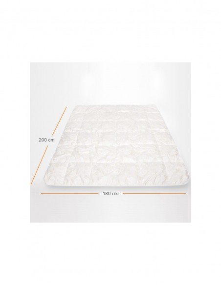 Pilota Pernador cu 30% puf si pana de gasca, 200x220 cm, Alb cu trandafiri argintii