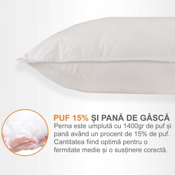 Set de 2 perne Pernador cu 15% puf de gasca si pana, 70x70 cm, Alb