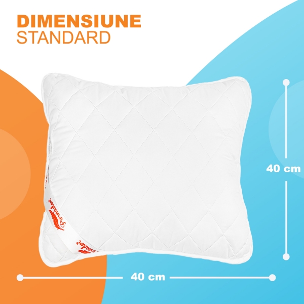Set de 2 perne Pernador Hipoalergenice, 60x60 cm